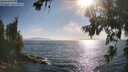 ./images/koeye/fitz-hugh/20260716/fitz-hugh20260716_181001M.jpg