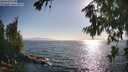 ./images/koeye/fitz-hugh/20260716/fitz-hugh20260716_182501M.jpg
