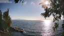 ./images/koeye/fitz-hugh/20260716/fitz-hugh20260716_183501M.jpg