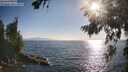 ./images/koeye/fitz-hugh/20260716/fitz-hugh20260716_184001M.jpg