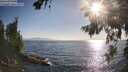 ./images/koeye/fitz-hugh/20260716/fitz-hugh20260716_184501M.jpg