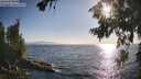 ./images/koeye/fitz-hugh/20260716/fitz-hugh20260716_185001M.jpg
