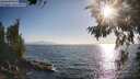 ./images/koeye/fitz-hugh/20260716/fitz-hugh20260716_185501M.jpg