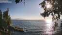 ./images/koeye/fitz-hugh/20260716/fitz-hugh20260716_190501M.jpg