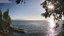 ./images/koeye/fitz-hugh/20260716/fitz-hugh20260716_191501M.jpg