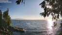 ./images/koeye/fitz-hugh/20260716/fitz-hugh20260716_192001M.jpg