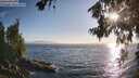 ./images/koeye/fitz-hugh/20260716/fitz-hugh20260716_192501M.jpg