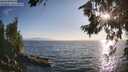 ./images/koeye/fitz-hugh/20260716/fitz-hugh20260716_193001M.jpg