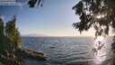 ./images/koeye/fitz-hugh/20260716/fitz-hugh20260716_194501M.jpg