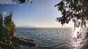 ./images/koeye/fitz-hugh/20260716/fitz-hugh20260716_195001M.jpg