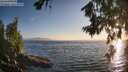 ./images/koeye/fitz-hugh/20260716/fitz-hugh20260716_201501M.jpg