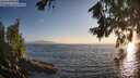 ./images/koeye/fitz-hugh/20260716/fitz-hugh20260716_202001M.jpg