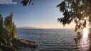 ./images/koeye/fitz-hugh/20260716/fitz-hugh20260716_202501M.jpg