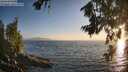 ./images/koeye/fitz-hugh/20260716/fitz-hugh20260716_203002M.jpg