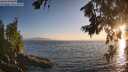 ./images/koeye/fitz-hugh/20260716/fitz-hugh20260716_203501M.jpg