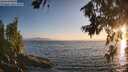 ./images/koeye/fitz-hugh/20260716/fitz-hugh20260716_204001M.jpg
