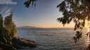 ./images/koeye/fitz-hugh/20260716/fitz-hugh20260716_205501M.jpg