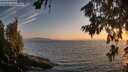./images/koeye/fitz-hugh/20260716/fitz-hugh20260716_211001M.jpg