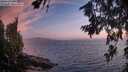 ./images/koeye/fitz-hugh/20260716/fitz-hugh20260716_214501M.jpg