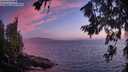 ./images/koeye/fitz-hugh/20260716/fitz-hugh20260716_215501M.jpg