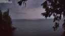 ./images/koeye/fitz-hugh/20260717/fitz-hugh20260717_045001M.jpg