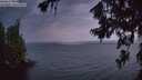 ./images/koeye/fitz-hugh/20260717/fitz-hugh20260717_050001M.jpg