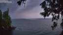 ./images/koeye/fitz-hugh/20260717/fitz-hugh20260717_050501M.jpg