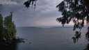 ./images/koeye/fitz-hugh/20260717/fitz-hugh20260717_051501M.jpg