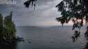 ./images/koeye/fitz-hugh/20260717/fitz-hugh20260717_052001M.jpg