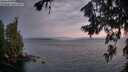 ./images/koeye/fitz-hugh/20260717/fitz-hugh20260717_053001M.jpg