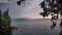 ./images/koeye/fitz-hugh/20260717/fitz-hugh20260717_053502M.jpg