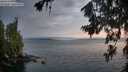 ./images/koeye/fitz-hugh/20260717/fitz-hugh20260717_054501M.jpg