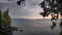 ./images/koeye/fitz-hugh/20260717/fitz-hugh20260717_060001M.jpg