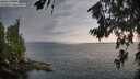 ./images/koeye/fitz-hugh/20260717/fitz-hugh20260717_062001M.jpg