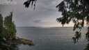 ./images/koeye/fitz-hugh/20260717/fitz-hugh20260717_063001M.jpg