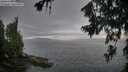 ./images/koeye/fitz-hugh/20260717/fitz-hugh20260717_072002M.jpg