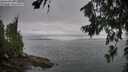 ./images/koeye/fitz-hugh/20260717/fitz-hugh20260717_072501M.jpg