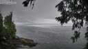 ./images/koeye/fitz-hugh/20260717/fitz-hugh20260717_073002M.jpg