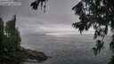 ./images/koeye/fitz-hugh/20260717/fitz-hugh20260717_073501M.jpg