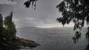 ./images/koeye/fitz-hugh/20260717/fitz-hugh20260717_074001M.jpg
