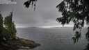 ./images/koeye/fitz-hugh/20260717/fitz-hugh20260717_074501M.jpg