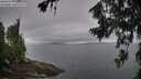 ./images/koeye/fitz-hugh/20260717/fitz-hugh20260717_075002M.jpg