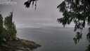 ./images/koeye/fitz-hugh/20260717/fitz-hugh20260717_075501M.jpg