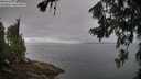./images/koeye/fitz-hugh/20260717/fitz-hugh20260717_080502M.jpg