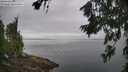 ./images/koeye/fitz-hugh/20260717/fitz-hugh20260717_083501M.jpg