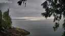 ./images/koeye/fitz-hugh/20260717/fitz-hugh20260717_094501M.jpg