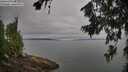 ./images/koeye/fitz-hugh/20260717/fitz-hugh20260717_100501M.jpg