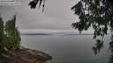 ./images/koeye/fitz-hugh/20260717/fitz-hugh20260717_101501M.jpg