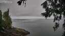 ./images/koeye/fitz-hugh/20260717/fitz-hugh20260717_102001M.jpg