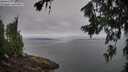 ./images/koeye/fitz-hugh/20260717/fitz-hugh20260717_102501M.jpg